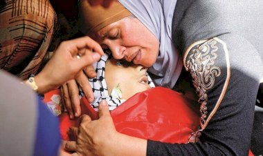 İşgalci İsrail'in Gazze Şeridi'ne düzenlediği saldırılarda şehidlerin sayısı 230'a yükseldi