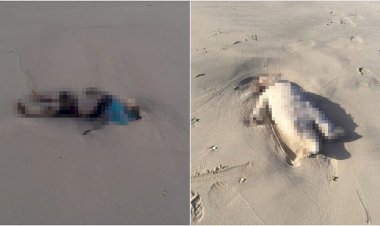 Libya açıklarında boğulan iki göçmen çocuğun kıyıya vuran cansız bedeni vicdanları yaraladı