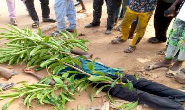 Nijerya'da medreseye silahlı saldırı