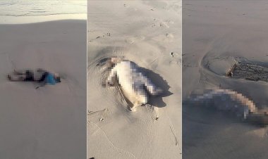 UNICEF, Akdeniz'de boğulan 3 göçmen çocuğun cansız bedeninin Libya kıyılarına vurduğunu 'üzülerek' doğruladı