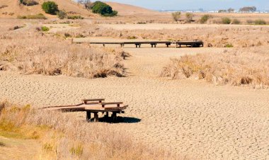 ABD'nin batı yakasında tarihi kuraklık