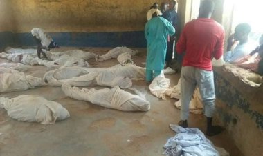 Nijerya'da çiftçilere saldırı: 53 ölü