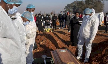 DSÖ: Afrika’da vaka ve ölümler yüzde 40 arttı