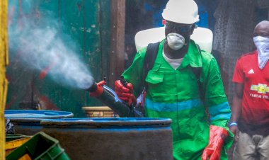 Afrika'da vaka sayısı 5,5 milyona yaklaştı