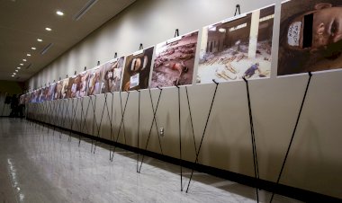 SNHR: En az 1,2 milyon Suriyeli işkence gördü