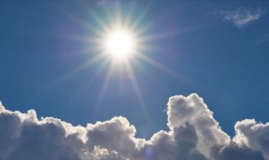 Kanada'da aşırı sıcaklar nedeniyle ölenlerin sayısı 130'u geçti