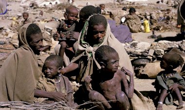Etiyopya'nın kuzeyinde 5,5 milyon kişi açlıkla karşı karşıya