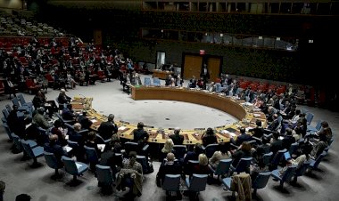 Hedasi Barajı krizini BMGK'ye taşıyan Sudan ve Mısır aradığını bulamadı