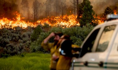 ABD'nin batısı, yüksek sıcaklık ve yangınla aynı anda mücadele ediyor