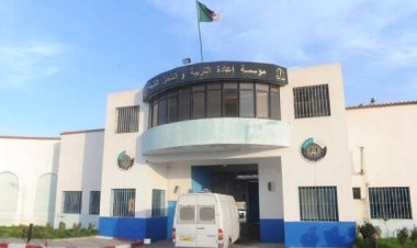 Cezayir'de 'Hirak' hareketinden 101 mahkuma cumhurbaşkanlığı affı