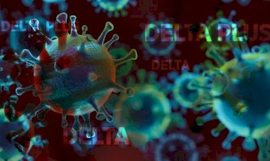 Meksika'da ilk kez Delta varyantı görüldü