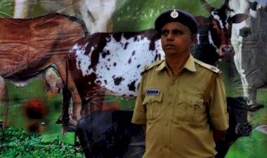 Hindistan işgali altındaki Keşmir'de Kurban Bayramı'nda 'inek ve buzağı ' kesilmesi yasaklandı