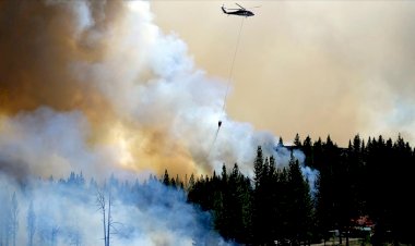 California'da devam eden orman yangınlarında onlarca ev kullanılamaz hale geldi