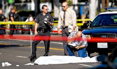 ABD'de son bir haftada düzenlenen silahlı saldırılarda 430'dan fazla kişi öldü