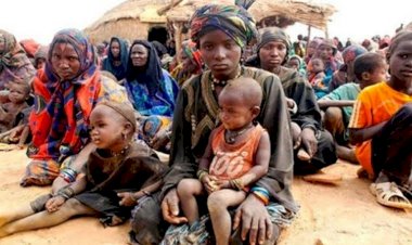 Nijerya'nın kuzeyinde yüz binlerce kişi açlıkla mücadele ediyor