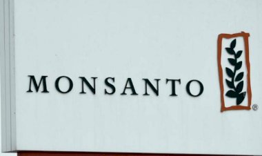 Kimya şirketine dava açan öğretmenler 185 milyon dolar tazminat kazandı