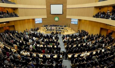 Cezayir işgal rejimini Afrika Birliği’nden kovmak için harekete geçti