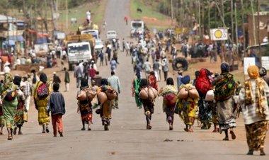 Etiyopya'da militanların Afar'a saldırılarının ardından yaklaşık 100 bin kişi yerinden oldu
