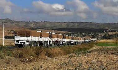 Etiyopya, Batı ülkelerinin Tigray bölgesine 'yardım koridoru' teklifini reddetti