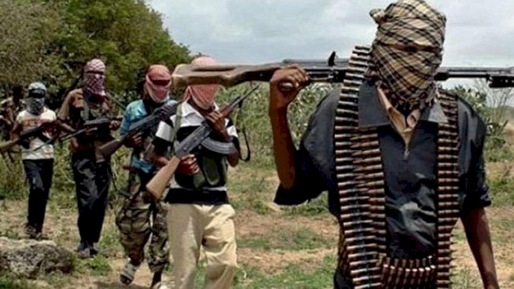 Nijerya'nın kuzeybatısı silahlı grupların tehdidi altında