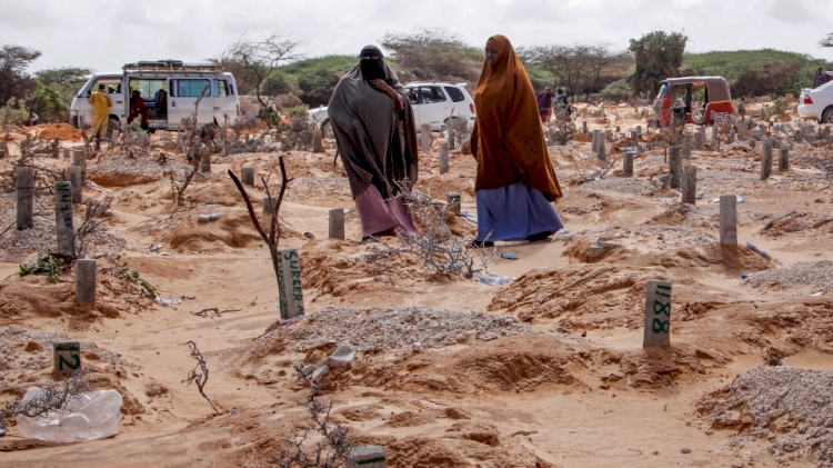 Afrika'da Kovid-19'dan ölenlerin sayısı 4 bini aştı