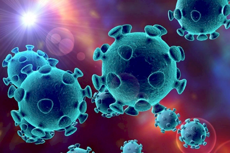 Dünya genelinde Kovid-19 tespit edilen kişi sayısı 11 milyon 764 bini geçti