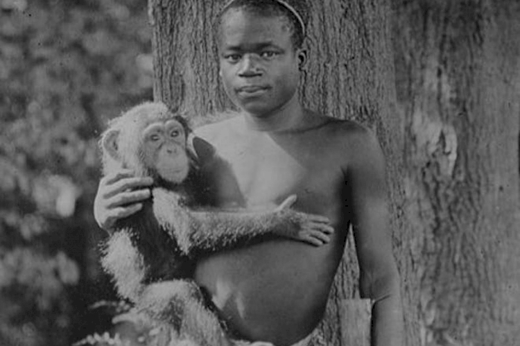 Afrikalıyı maymunla sergileyen ABD'den 114 yıl sonra özür