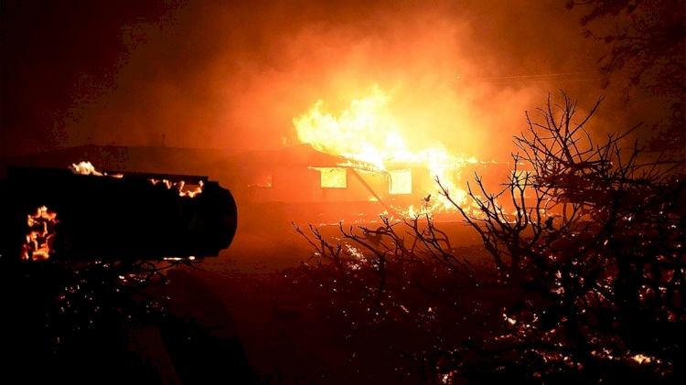 Kaliforniya'da devam eden yangınlarda 7 kişi öldü