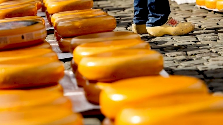 Peynirden zehirlenen 10 kişinin ölümü üzerine soruşturma başlatıldı