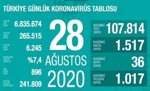 Türkiye'de vaka ve ölü sayısı artmaya devam ediyor