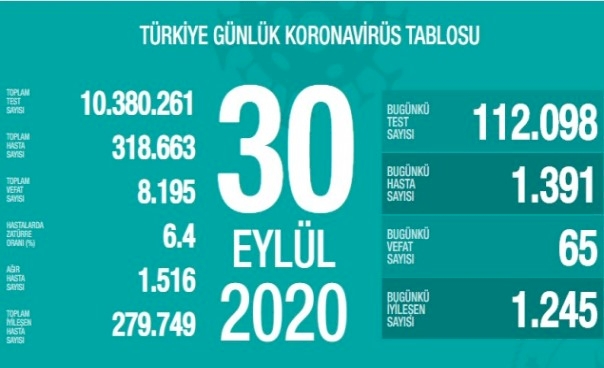 Türkiye'de koronavirüsten 65 can kaybı, 1391 yeni vaka