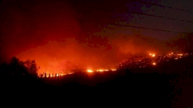 Suriye'deki orman yangınları kontrol altına alınamıyor