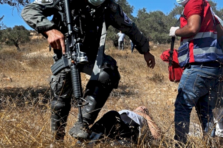 İşgalci İsrail askerlerinden Filistinlilerin zeytin toplamasına engel