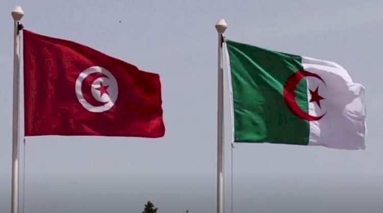 Tunus: Kişisel açıklamalar Cezayir'le ilişkilerimizi bozamaz
