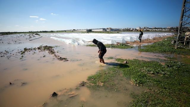 Siyonist rejim Gazze'deki tarım arazilerini sular altında bıraktı