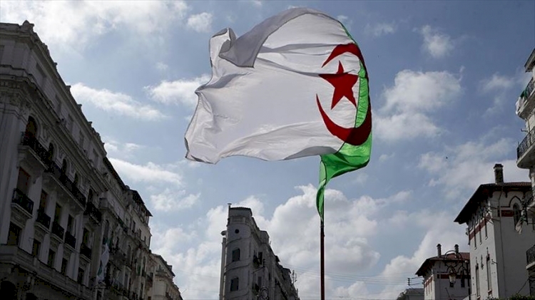 'Fransa sömürge döneminde tüm Cezayirlileri yok etmeye çalıştı'