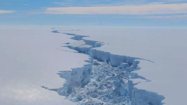 Antarktika'da 1270 kilometrekarelik buz kütlesi koptu