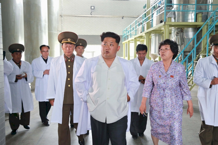 Kuzey Kore'nin plütonyum üretiyor olabileceği ileri sürüldü