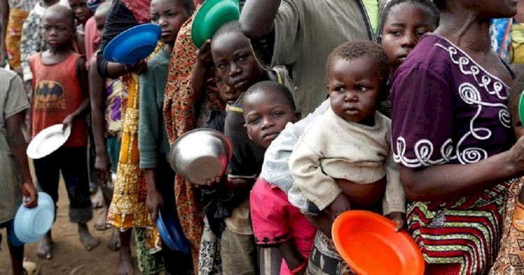 Sahra Altı Afrika'da 230 milyon kişi kalıcı gıda kriziyle karşı karşıya