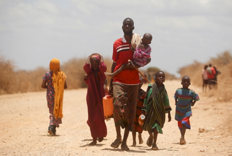 Etiyopya'nın Somali eyaletinde susuzluktan ölümler başlayabilir