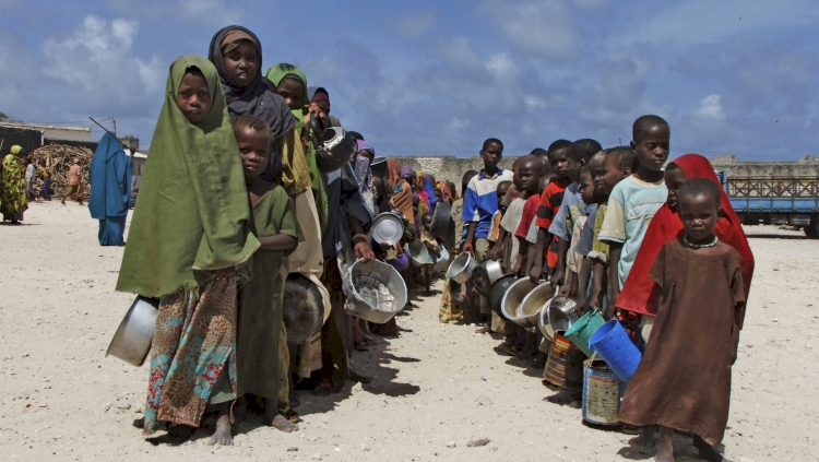 Batı Afrika'da 31 milyon kişi gıda krizi ile karşı karşıya