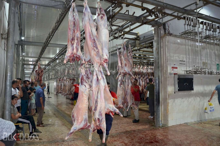 Yetimler Vakfı, on binlerce aileye kurban eti dağıtmaya hazırlanıyor