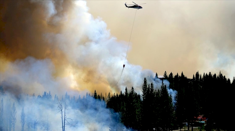 California'da devam eden orman yangınlarında onlarca ev kullanılamaz hale geldi