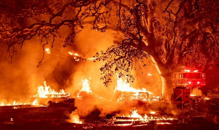 California'da orman yangınları 21 gündür sürüyor