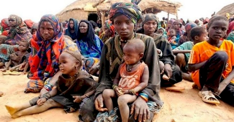 Nijerya'nın kuzeyinde yüz binlerce kişi açlıkla mücadele ediyor