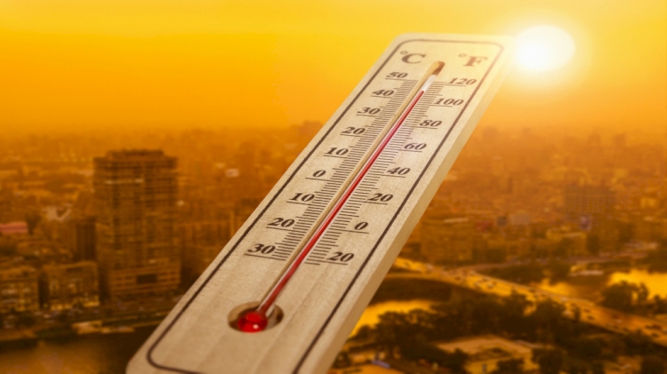 Temmuzda dünya çapında 142 yılın sıcaklık rekoru kırıldı