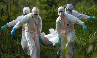 Latin Amerika ülkelerinde Kovid-19 salgınına bağlı can kayıpları artıyor