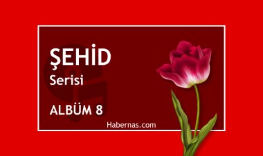 ŞEHİD 8