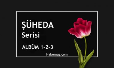 ŞÜHEDA SERİSİ 1-2-3