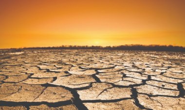 Kazakistan’da iklim krizi: 178 bin hektar tahıl alanı kurudu